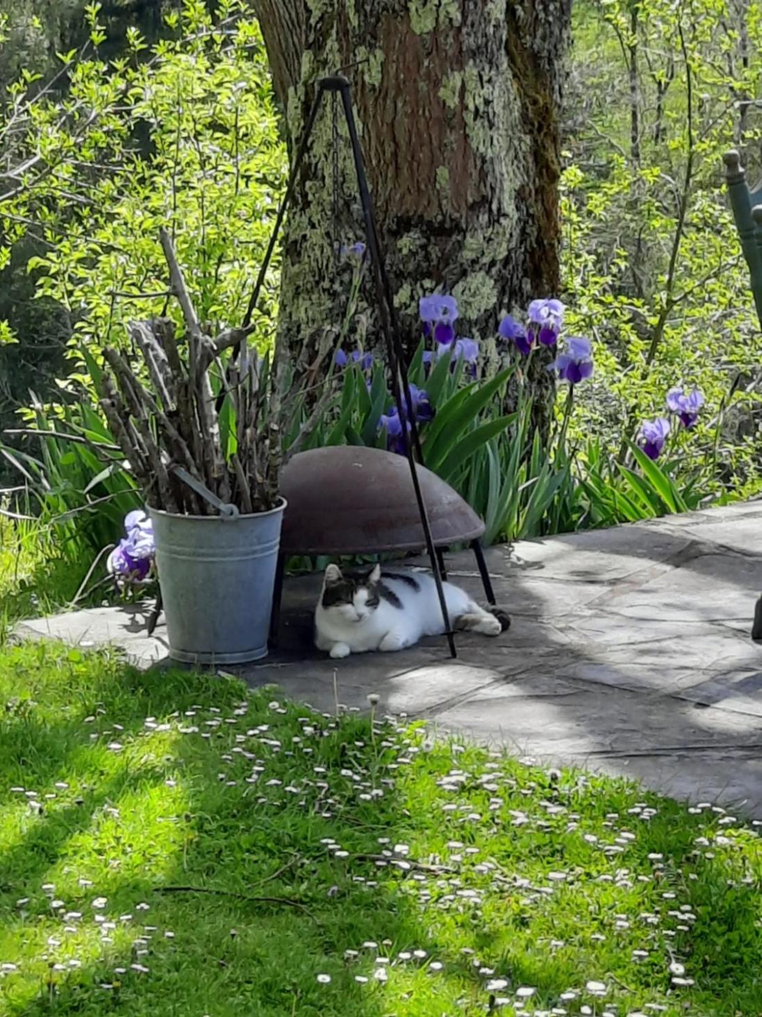 Biert La Coume, Tweepersoonsbed Bed and Breakfast Buitenkant foto